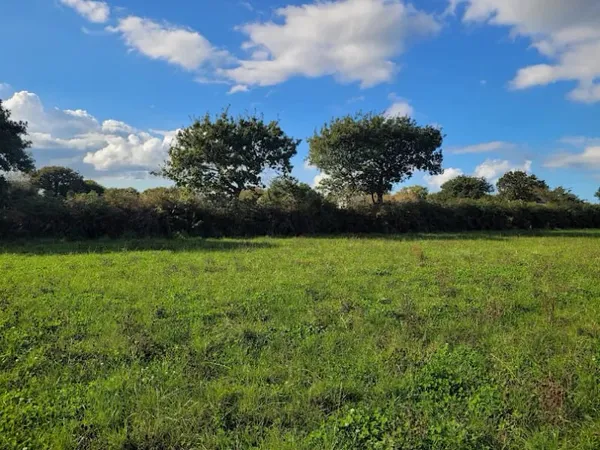 Terrain 689 m²