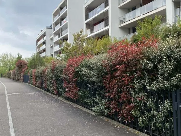 Appartement lumineux 3 chambres avec balcon à Bischheim