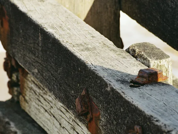 Termites : déclaration en mairie, arrêté préfectoral, état parasitaire à la vente et responsabilité du vendeur — le guide 2026