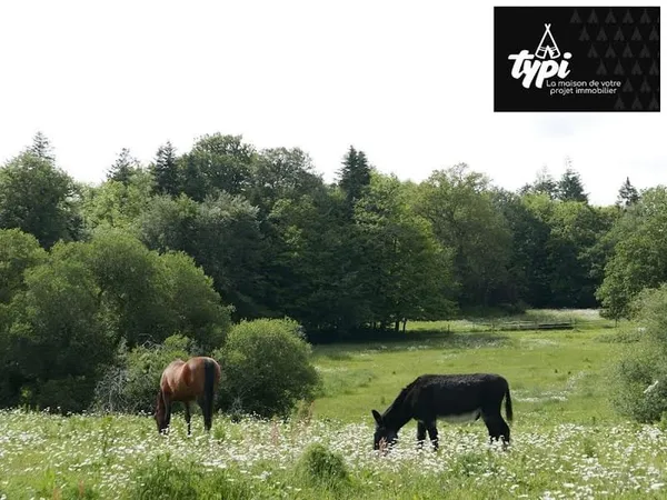 Terrain 800 m²