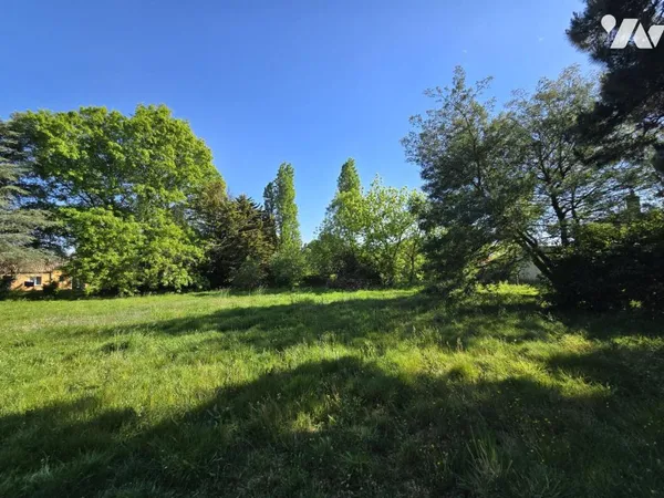 Terrain 2310 m²