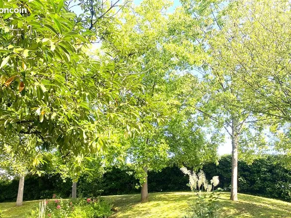 Appartement 10 pièces 196 m²