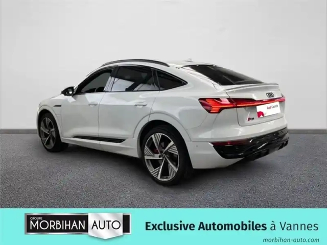 Audi E-Tron 55 408 ch 114 kwh quattro — photo 7