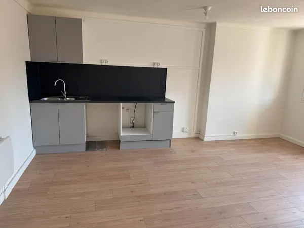 Appartement T3 Entièrement rénové