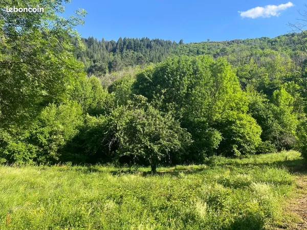 Terrain 4402 m² SAUMANE