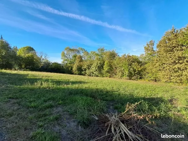 Terrain 2 153 m² Haut De Bosdarros