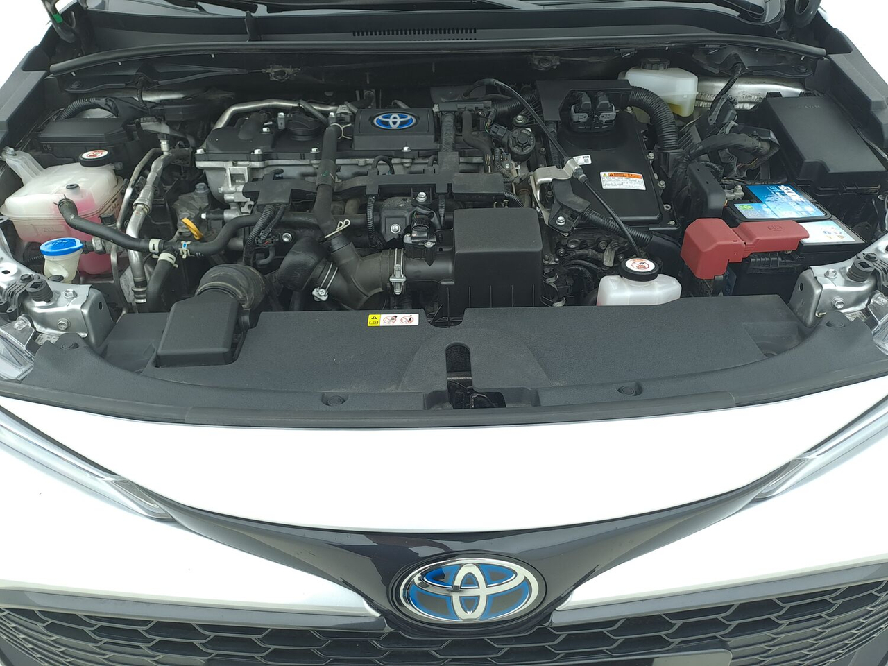Toyota Corolla Touring Sports — photo 16