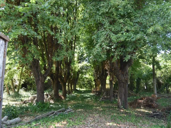 Un écrin de verdure à bâtir au coeur de Joigny