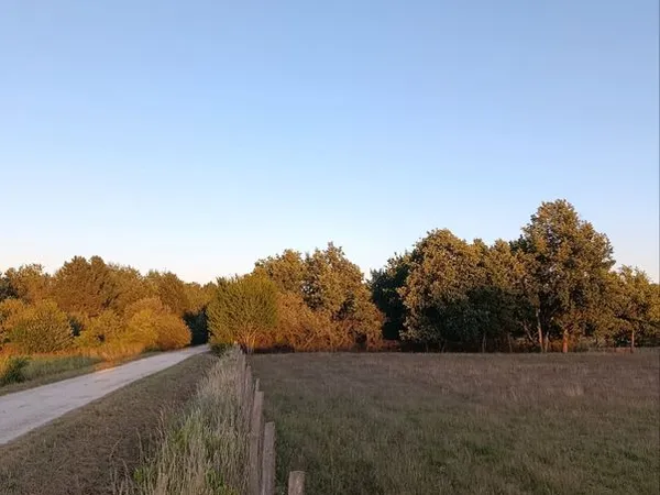 Terrain agricole