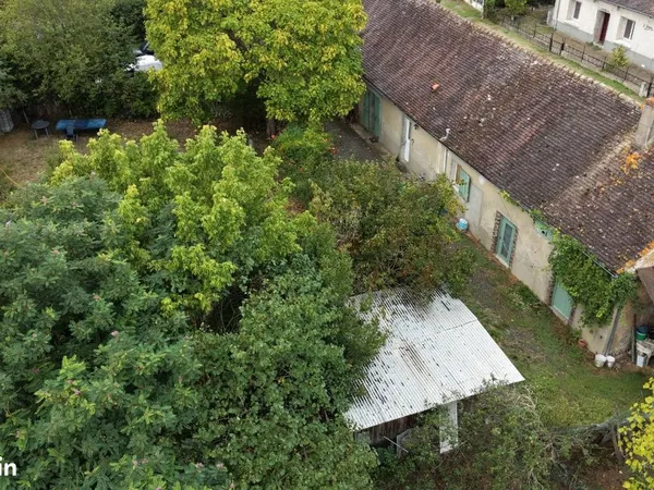 Maison avec grand terrain