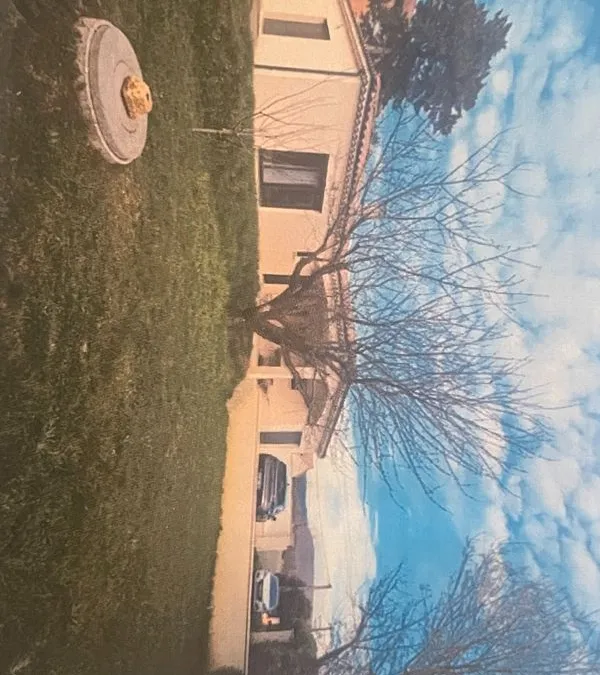 Photo 3