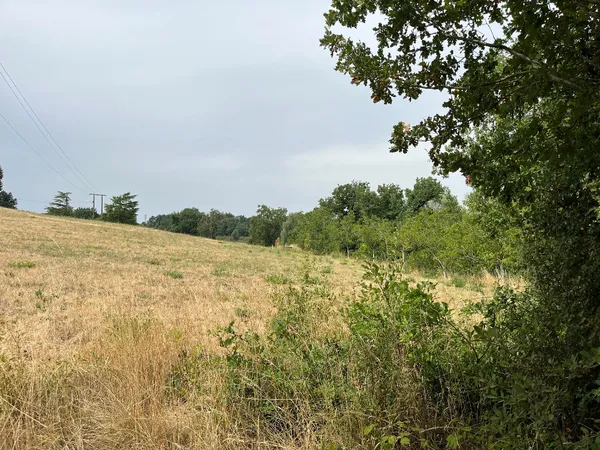 Terrain 816 m²