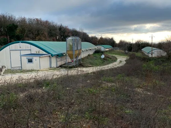 Exploitation agricole