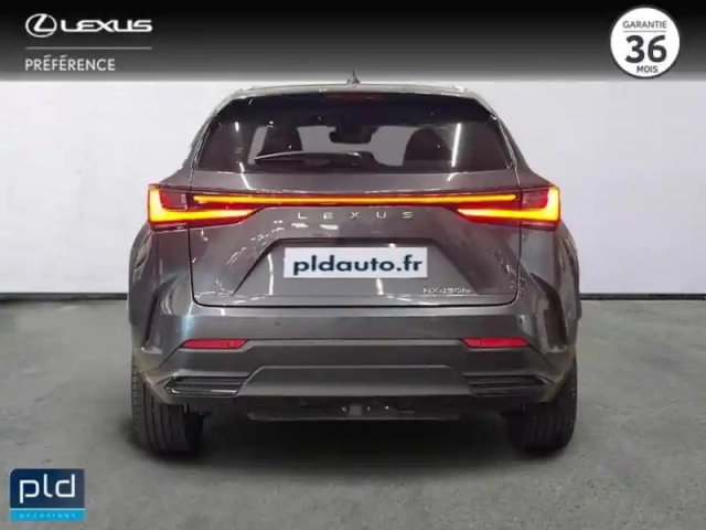 Lexus Nx 450h+ executive 4wd — photo 7