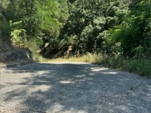 terrain non constructible pour le moment Côte d'Azur près de cannes a 12mn.