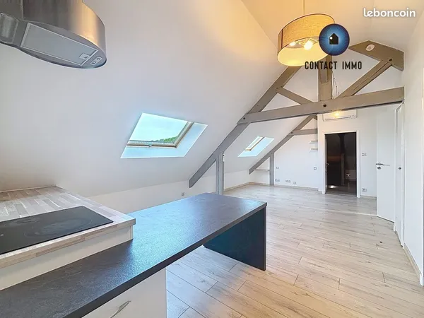 Appartement 3 pièces 46 m²