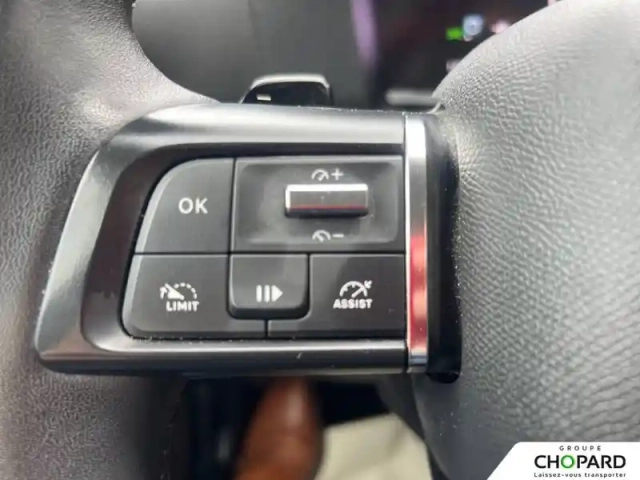 Citroën C4 puretech 130 s&amp;s eat8 — photo 18