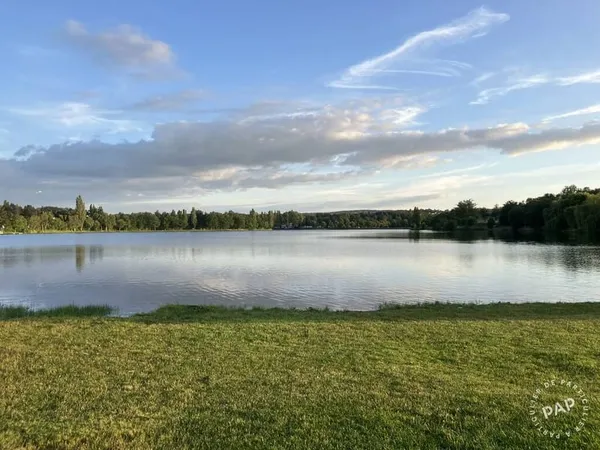 Terrain