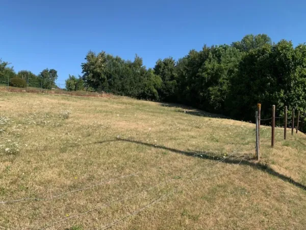 Terrain 1256 m²