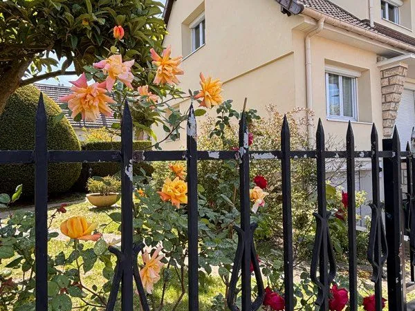 Maison 150m2 à Antonypole