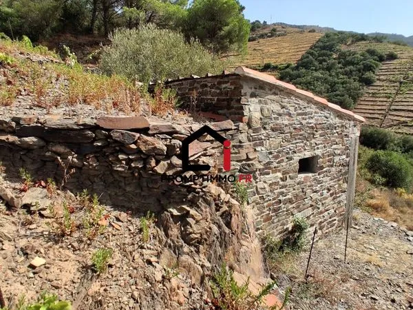 Terrain 7859 m² Banyuls-sur-Mer