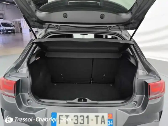 Citroën C4 cactus bluehdi 100 s&amp;s bvm6 shine — photo 8