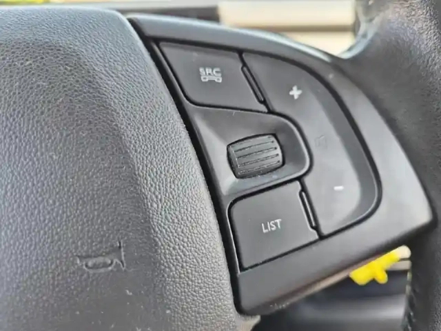 Citroën C4 cactus bluehdi 100 shine — photo 13