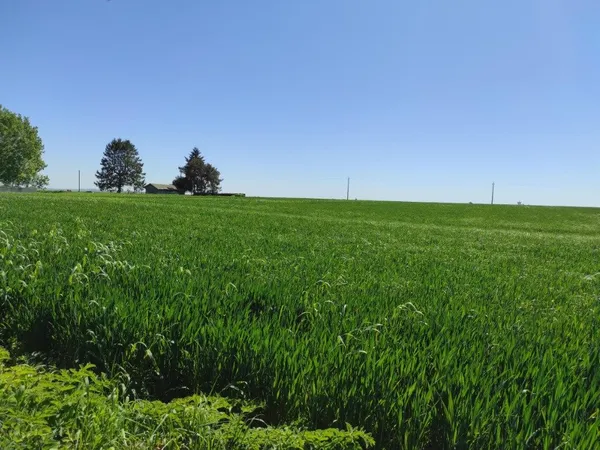 Terrain 100 m²