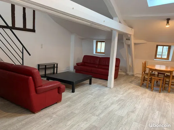 Appartement 4 pièces - Hyper centre de Poitiers, quartier Notre-Dame