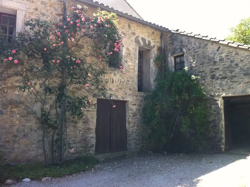 Photo 3