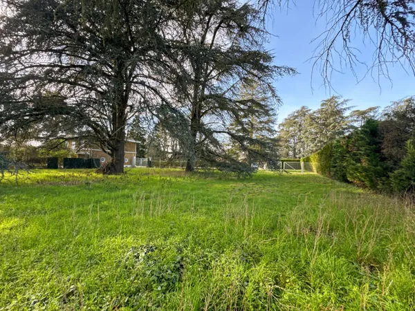 Terrain constructible 1000 m²