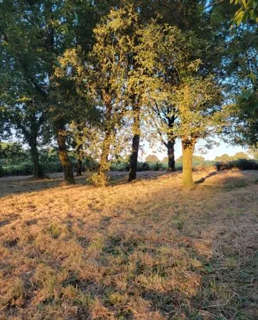 Terrain de loisirs
