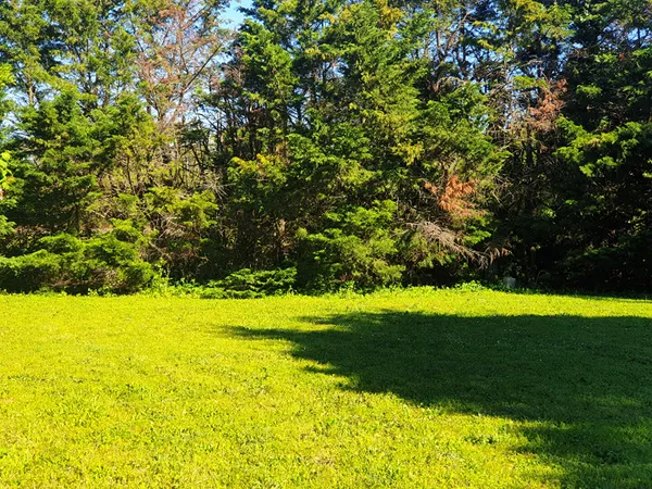 Terrain 966 m²