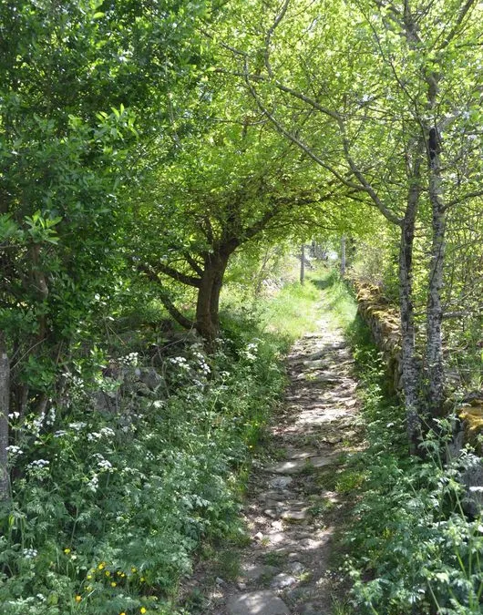 Photo 20