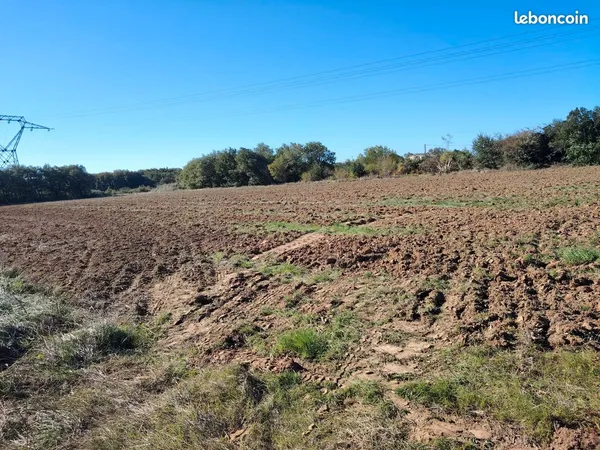 Parcelle de terre agricole 8000m2 Allan