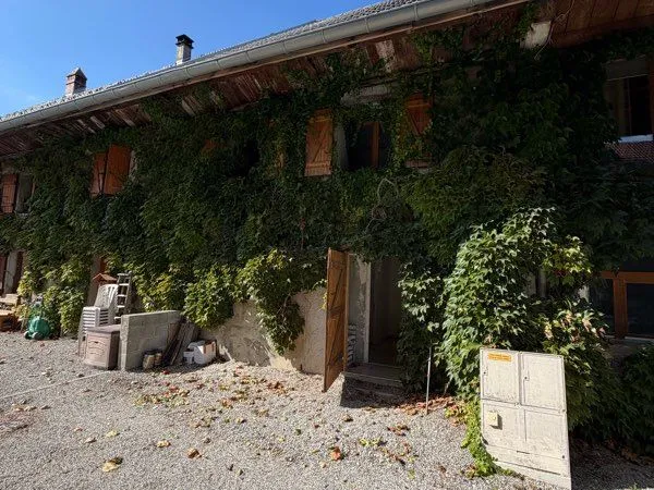 Maison / local professionnel
