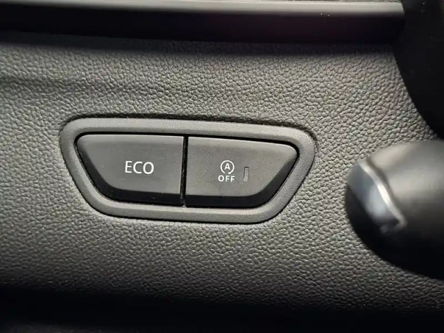 Renault Kadjar blue dci 115 — photo 35