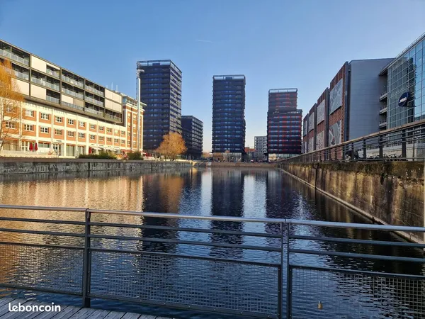 T2 45,5 m² + loggia 12 m² - DPE B - Black Swans - Presqu'île Malraux