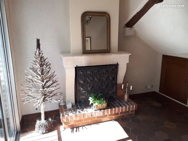 Vends appartement de charme 50m2 Blois