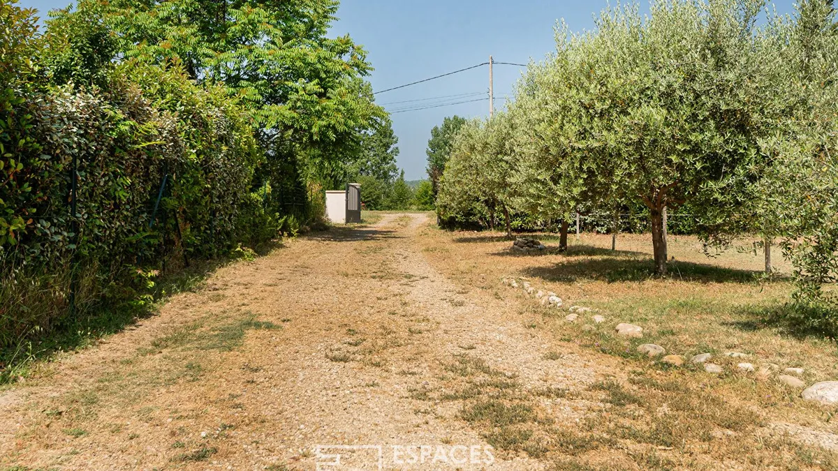 Photo 2