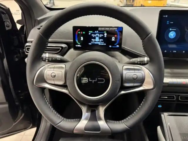 Byd Dolphin surf comfort 115 kw — photo 17