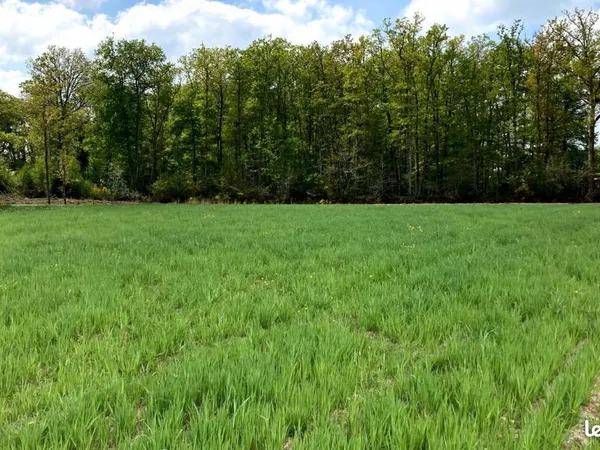 Terrain 496 m² Waziers