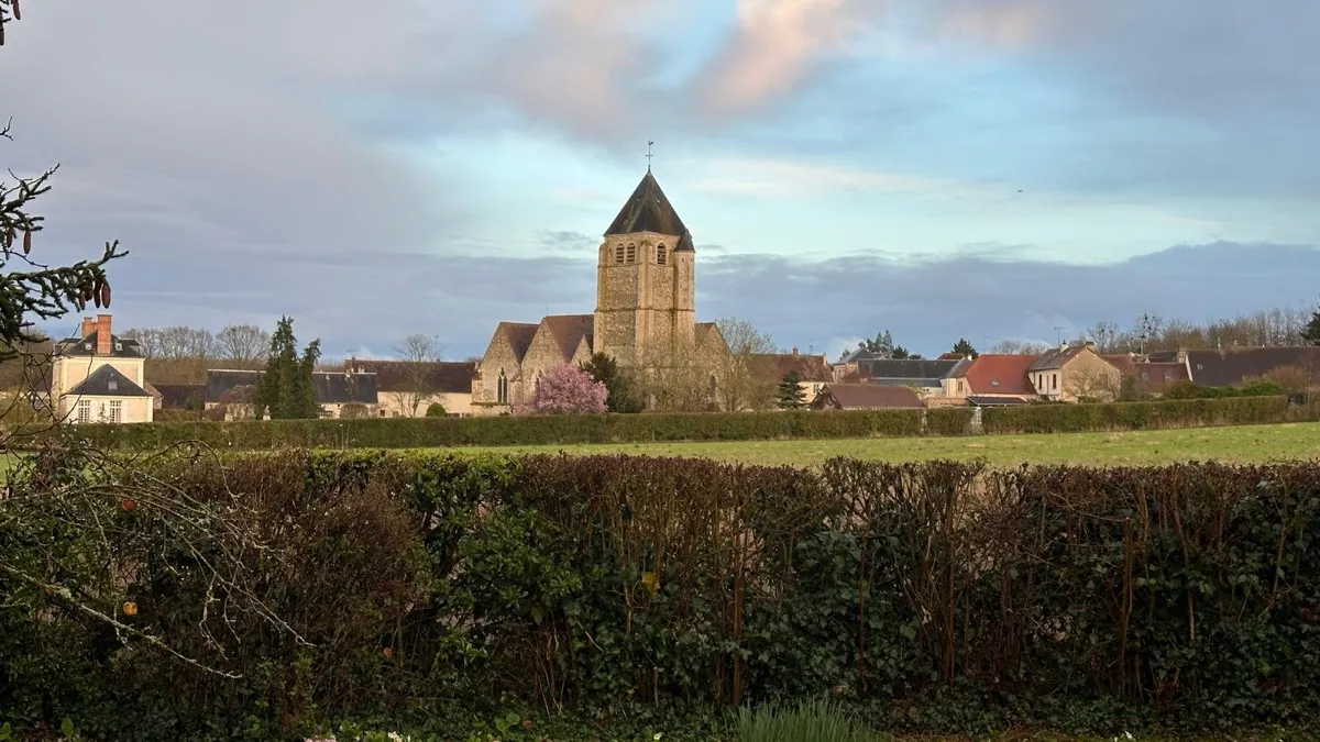 Photo 6