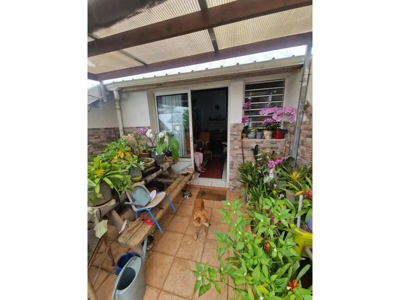 Photo 15