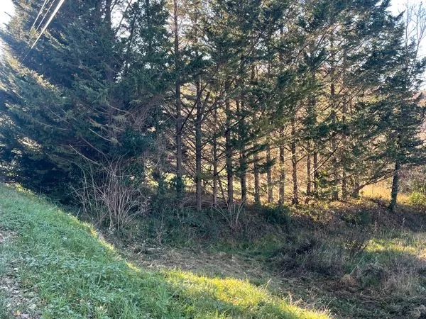 Terrain à bâtir