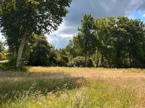 Terrain constructible 1600 m2