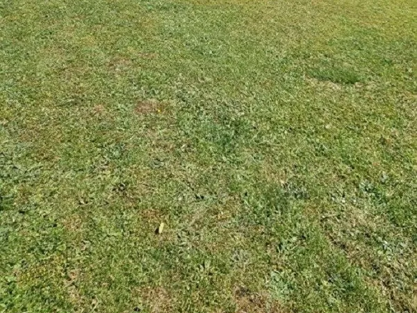Terrain 620 m²