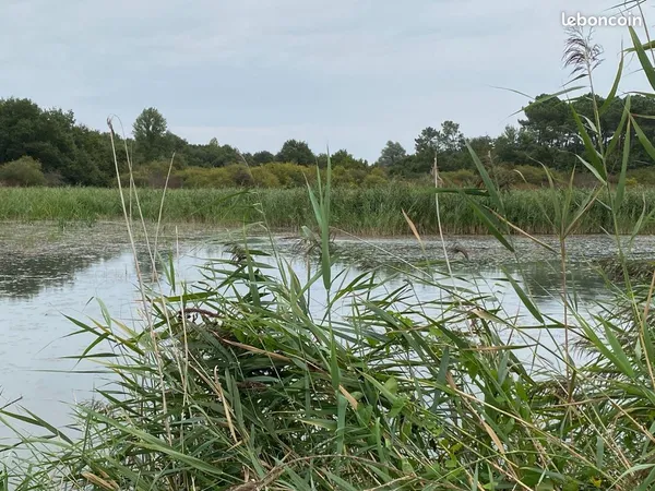 Bien agricole Azay-le-Ferron