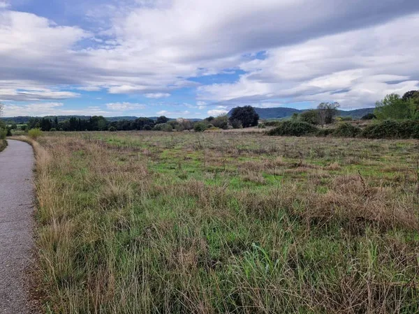 Terrain boisé 8760 m²