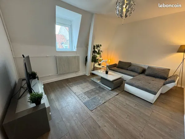 F3 meublé 75m2 quartier Nordfeld / printemps
